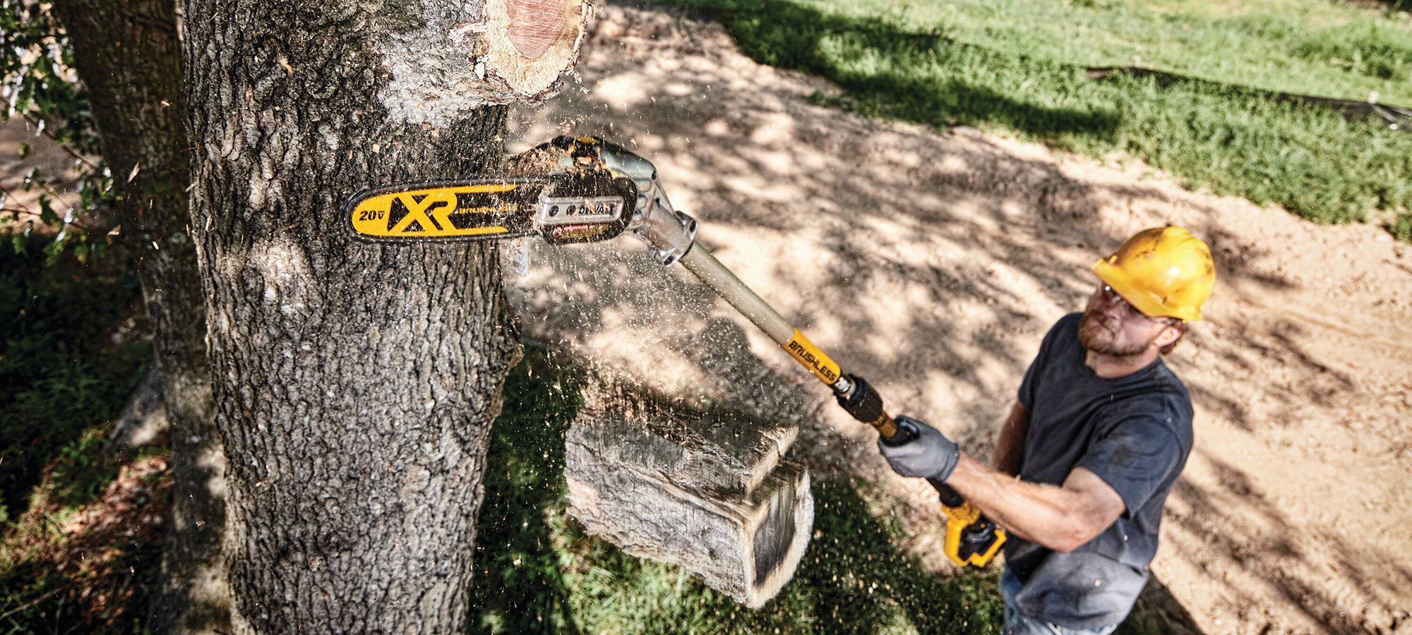 Dewalt Cordless Pole Saw Kit